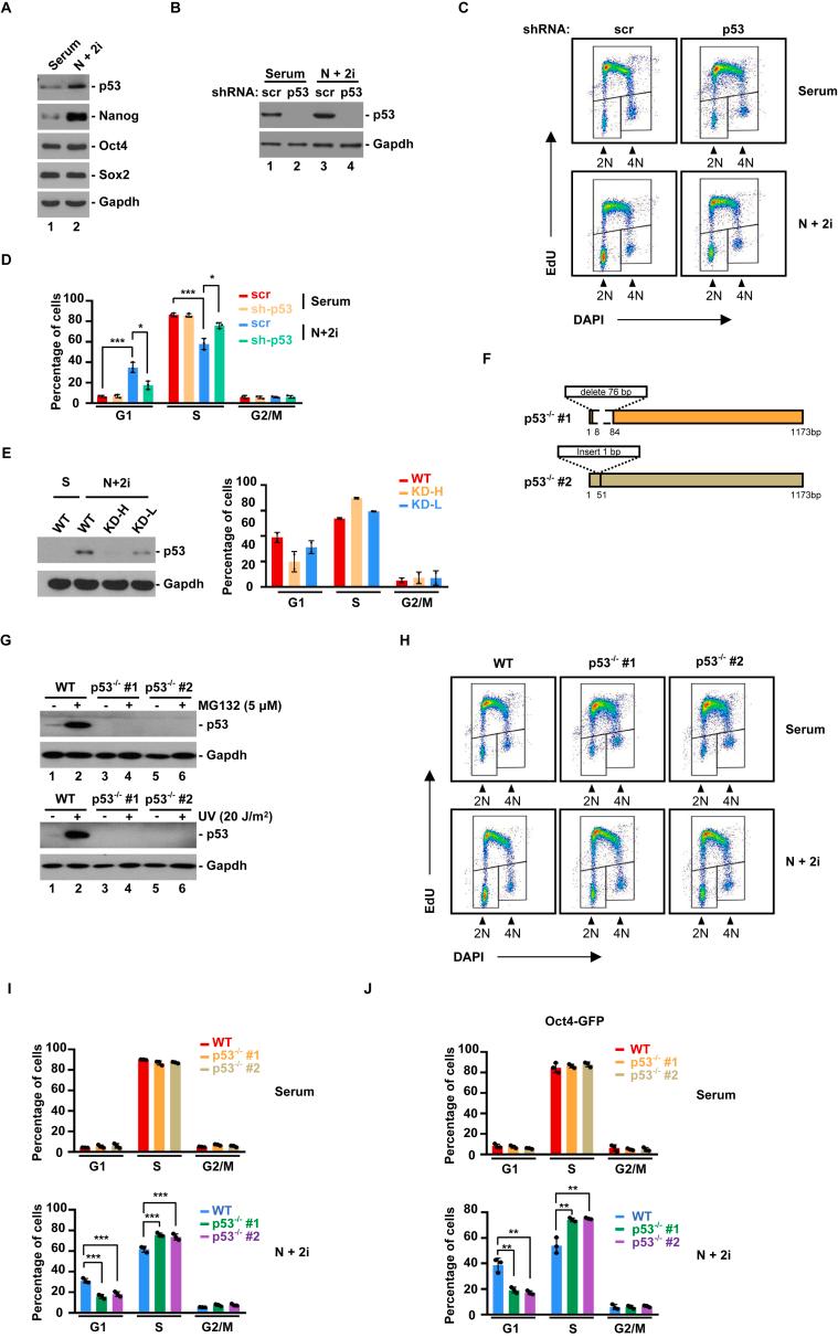 https://cdn.ncbi.nlm.nih.gov/pmc/blobs/9c78/9791322/d575010368ca/gr2.jpg