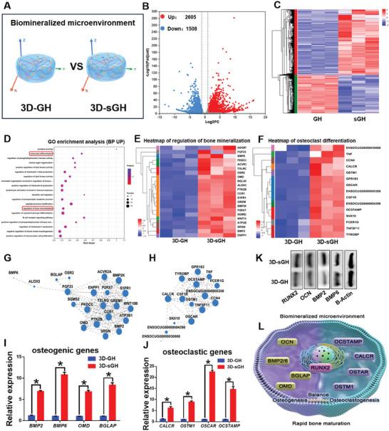 https://cdn.ncbi.nlm.nih.gov/pmc/blobs/9c7a/10916654/0cdb4cfc3a89/ADVS-11-2305580-g002.jpg