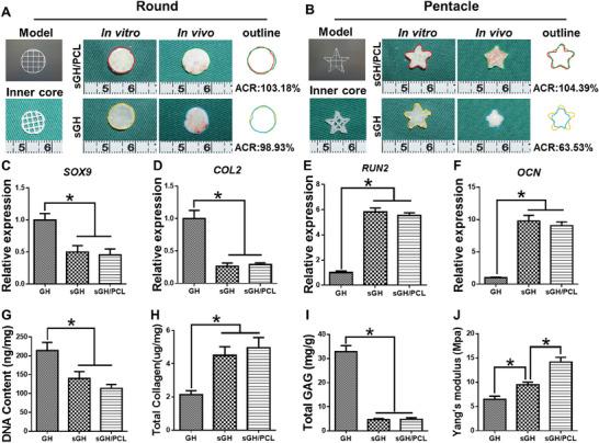 https://cdn.ncbi.nlm.nih.gov/pmc/blobs/9c7a/10916654/21755b25ecf5/ADVS-11-2305580-g003.jpg