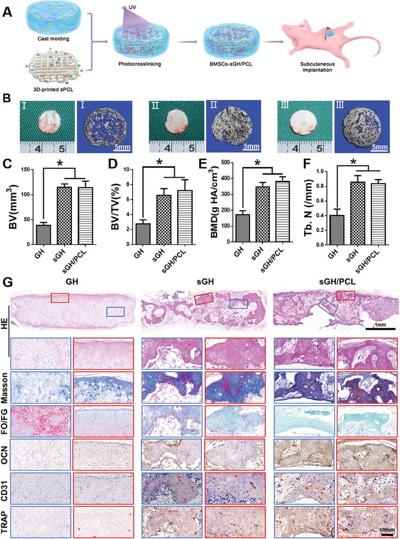 https://cdn.ncbi.nlm.nih.gov/pmc/blobs/9c7a/10916654/94a974129cb0/ADVS-11-2305580-g006.jpg