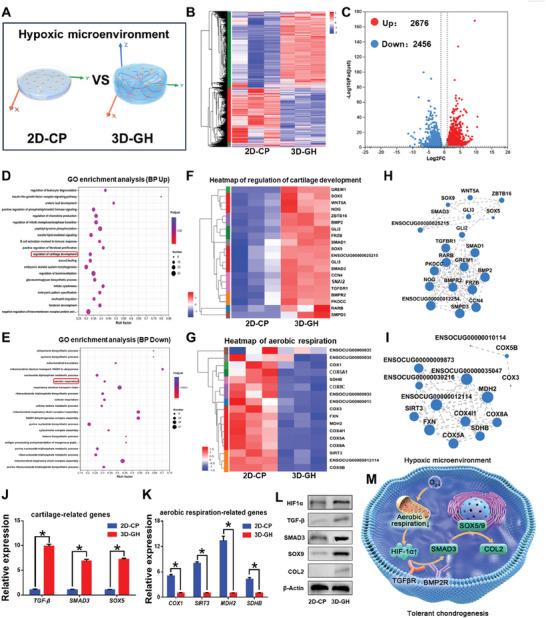 https://cdn.ncbi.nlm.nih.gov/pmc/blobs/9c7a/10916654/baa0102bbfa8/ADVS-11-2305580-g001.jpg