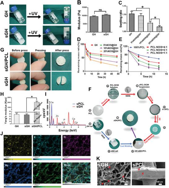 https://cdn.ncbi.nlm.nih.gov/pmc/blobs/9c7a/10916654/e27e4d55de8d/ADVS-11-2305580-g007.jpg