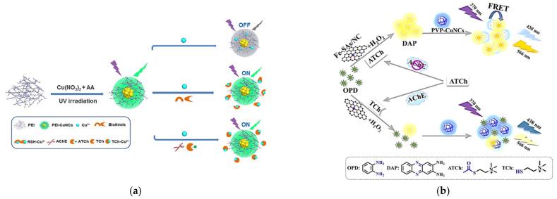 https://cdn.ncbi.nlm.nih.gov/pmc/blobs/9c7a/8615659/f842a69e43d7/biosensors-11-00424-g002.jpg