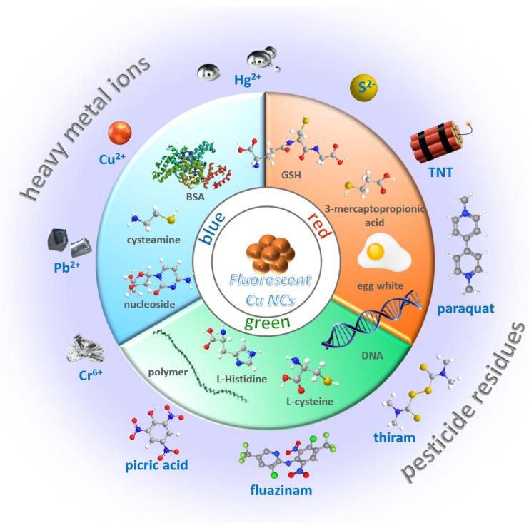 https://cdn.ncbi.nlm.nih.gov/pmc/blobs/9c7a/8615659/ffb31f90e203/biosensors-11-00424-sch001.jpg
