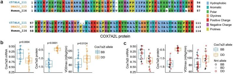 https://cdn.ncbi.nlm.nih.gov/pmc/blobs/9c7d/9584823/2be0f3b93ac3/42255_2022_655_Fig10_ESM.jpg