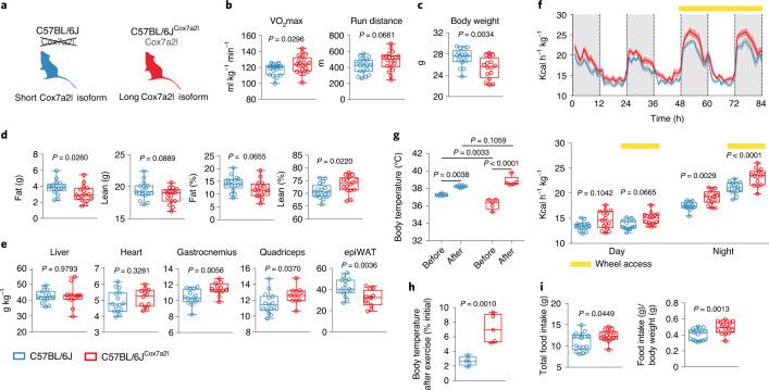 https://cdn.ncbi.nlm.nih.gov/pmc/blobs/9c7d/9584823/6da3d5d8d099/42255_2022_655_Fig5_HTML.jpg