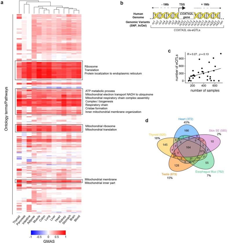 https://cdn.ncbi.nlm.nih.gov/pmc/blobs/9c7d/9584823/71360b5d54c8/42255_2022_655_Fig7_ESM.jpg