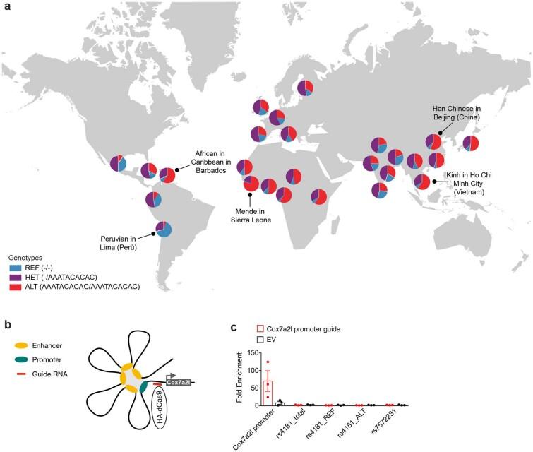 https://cdn.ncbi.nlm.nih.gov/pmc/blobs/9c7d/9584823/d372e792db5b/42255_2022_655_Fig8_ESM.jpg