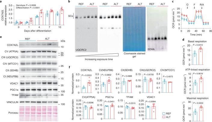 https://cdn.ncbi.nlm.nih.gov/pmc/blobs/9c7d/9584823/f835c71de16d/42255_2022_655_Fig3_HTML.jpg