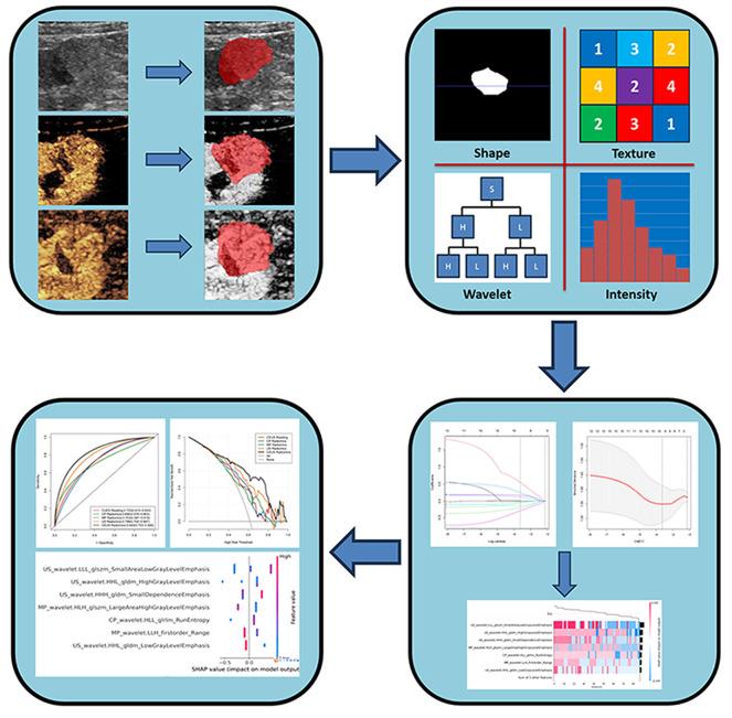 https://cdn.ncbi.nlm.nih.gov/pmc/blobs/9c7e/11155131/a5fda8dac72f/12880_2024_1317_Fig1_HTML.jpg