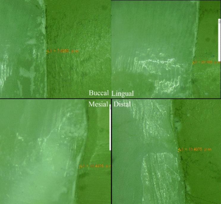 https://cdn.ncbi.nlm.nih.gov/pmc/blobs/9c7f/11340096/5cdc1cf0251c/12903_2024_4755_Fig3_HTML.jpg