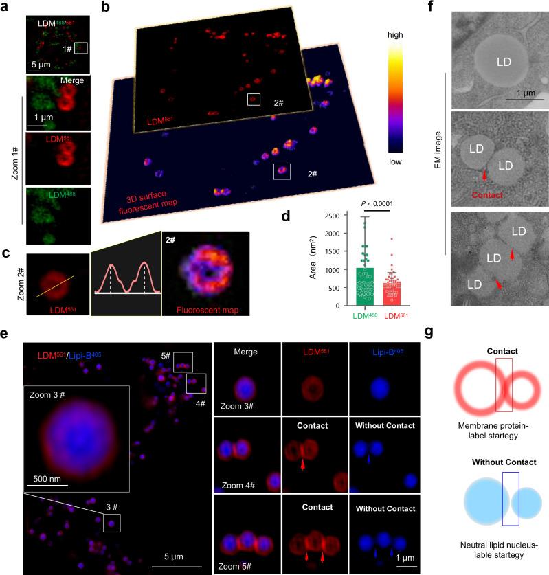 https://cdn.ncbi.nlm.nih.gov/pmc/blobs/9c7f/11528070/73cf9028d412/41467_2024_53667_Fig3_HTML.jpg