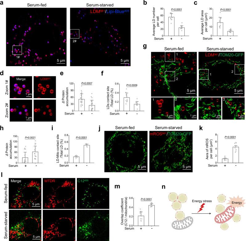 https://cdn.ncbi.nlm.nih.gov/pmc/blobs/9c7f/11528070/79ee8fb68990/41467_2024_53667_Fig5_HTML.jpg