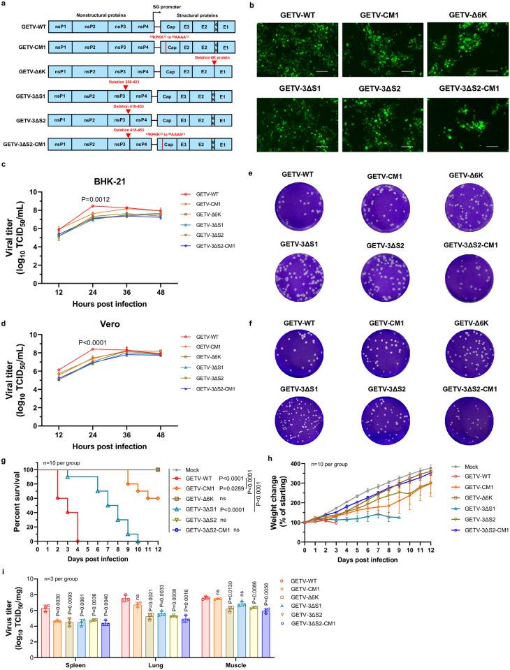 https://cdn.ncbi.nlm.nih.gov/pmc/blobs/9c80/11630583/46d92f00cf62/ppat.1012700.g001.jpg