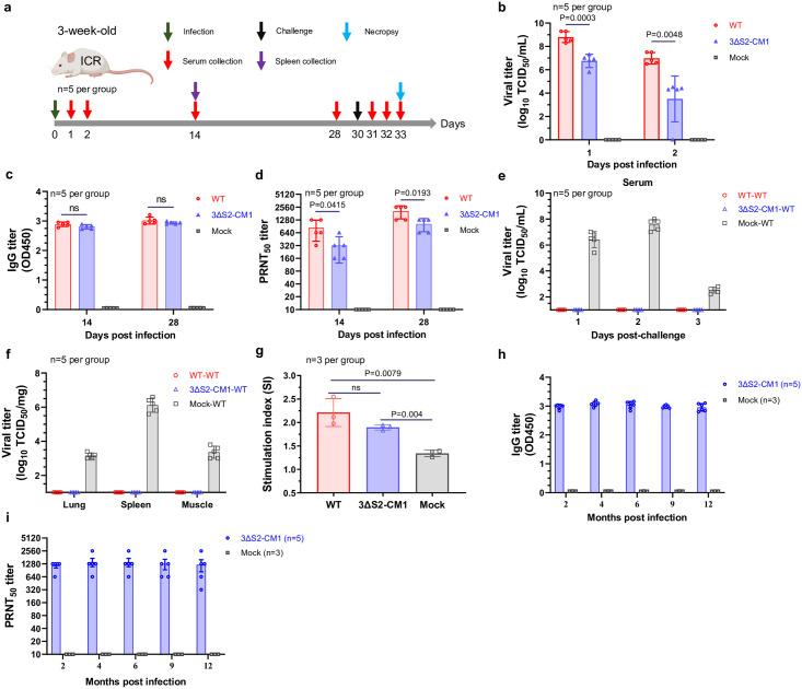 https://cdn.ncbi.nlm.nih.gov/pmc/blobs/9c80/11630583/94b57e094095/ppat.1012700.g002.jpg