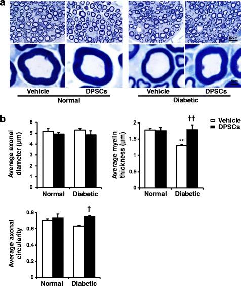 https://cdn.ncbi.nlm.nih.gov/pmc/blobs/9c80/5729514/6493c6c6f46d/13287_2017_729_Fig6_HTML.jpg