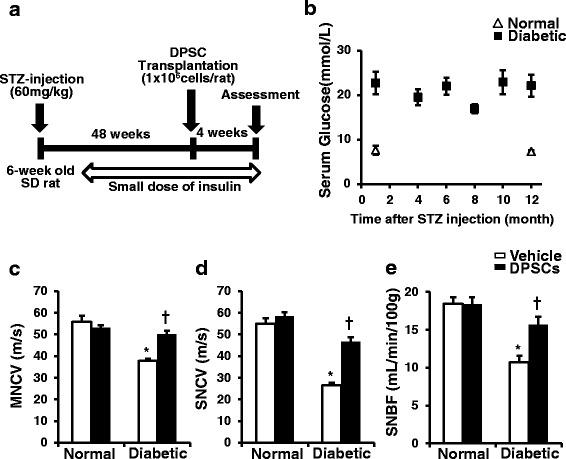 https://cdn.ncbi.nlm.nih.gov/pmc/blobs/9c80/5729514/e1a024e55400/13287_2017_729_Fig2_HTML.jpg