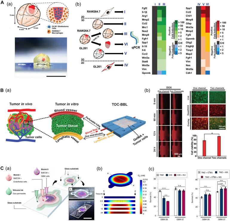 https://cdn.ncbi.nlm.nih.gov/pmc/blobs/9c80/8201787/90d7abf043fb/fbioe-09-685507-g007.jpg