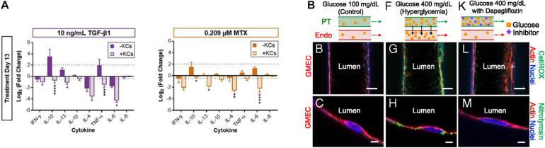 https://cdn.ncbi.nlm.nih.gov/pmc/blobs/9c80/8201787/a34150d5743b/fbioe-09-685507-g005.jpg