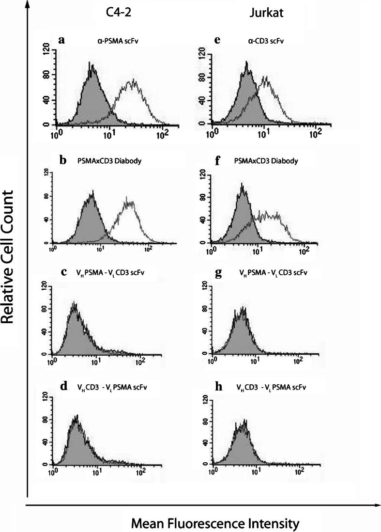 https://cdn.ncbi.nlm.nih.gov/pmc/blobs/9c81/11030100/fcad324a9d32/262_2007_348_Fig3_HTML.jpg