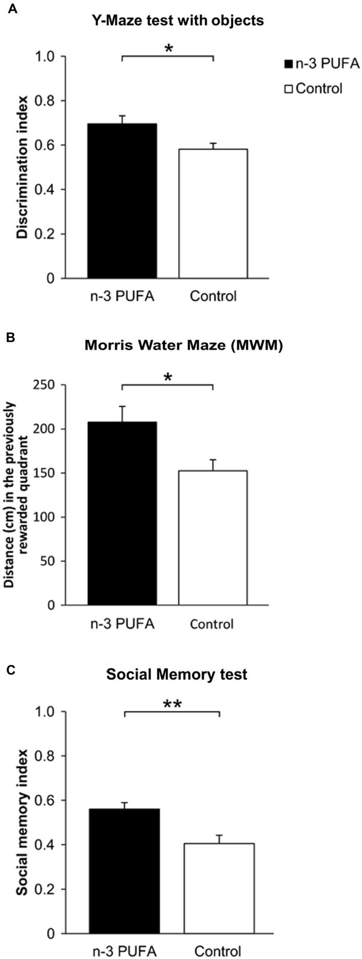 https://cdn.ncbi.nlm.nih.gov/pmc/blobs/9c83/4777728/a1956211f0e2/fnagi-08-00038-g002.jpg