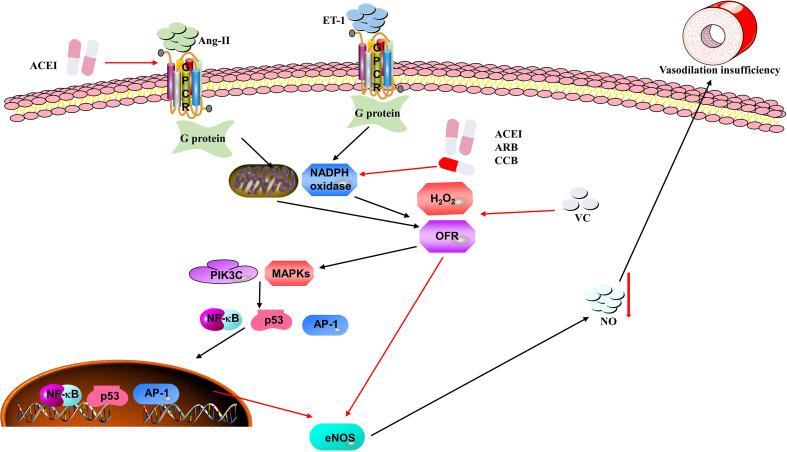 https://cdn.ncbi.nlm.nih.gov/pmc/blobs/9c86/9871625/0280570dc830/fimmu-13-1098725-g003.jpg