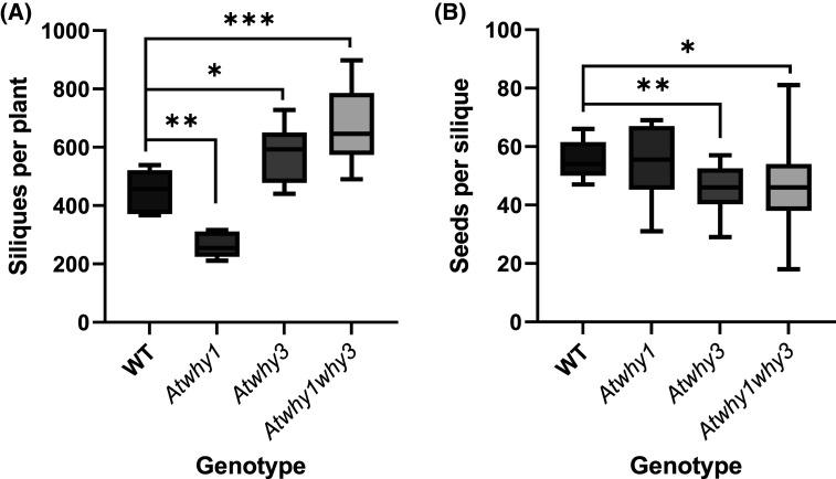 https://cdn.ncbi.nlm.nih.gov/pmc/blobs/9c8a/10422932/7d9a2751280d/BCJ-480-941-g0004.jpg
