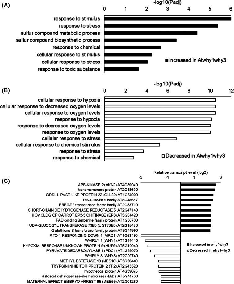 https://cdn.ncbi.nlm.nih.gov/pmc/blobs/9c8a/10422932/e67330184af0/BCJ-480-941-g0008.jpg