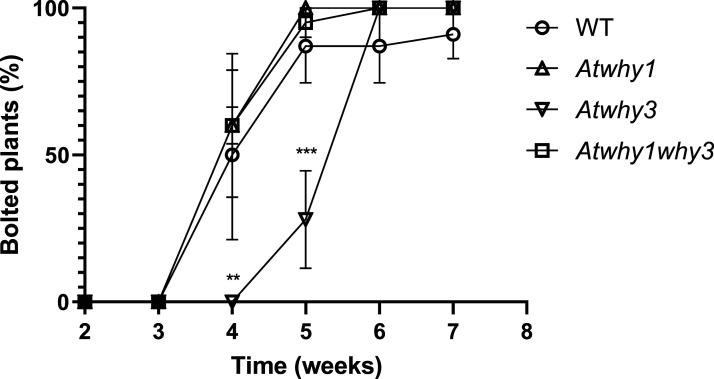 https://cdn.ncbi.nlm.nih.gov/pmc/blobs/9c8a/10422932/ebcc2f8c9d21/BCJ-480-941-g0003.jpg