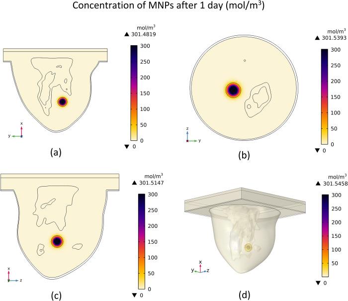 https://cdn.ncbi.nlm.nih.gov/pmc/blobs/9c8a/9491569/dbcef4309ea0/pone.0274801.g012.jpg