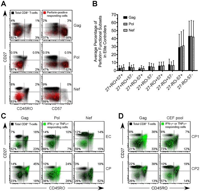 https://cdn.ncbi.nlm.nih.gov/pmc/blobs/9c8b/2877741/83dfa1563eb0/ppat.1000917.g004.jpg