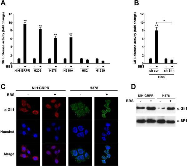 https://cdn.ncbi.nlm.nih.gov/pmc/blobs/9c8b/4539617/1187110c34b4/nihms-575627-f0003.jpg