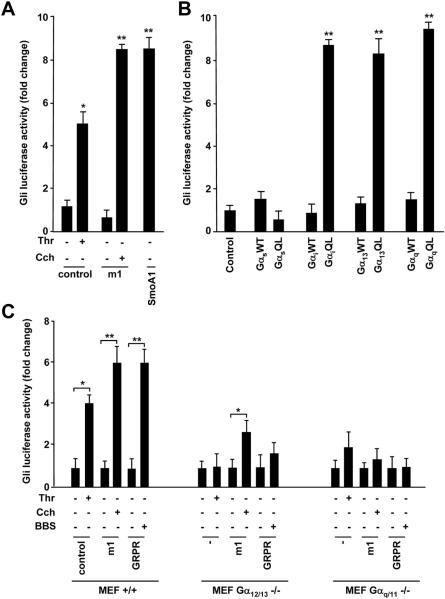 https://cdn.ncbi.nlm.nih.gov/pmc/blobs/9c8b/4539617/ab3d4c1edcec/nihms-575627-f0004.jpg