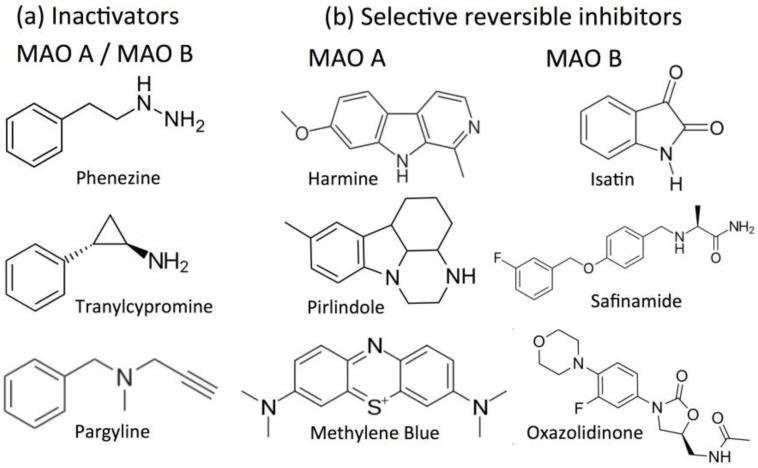 https://cdn.ncbi.nlm.nih.gov/pmc/blobs/9c8c/6152246/2d7d3034342d/molecules-22-01192-g001.jpg