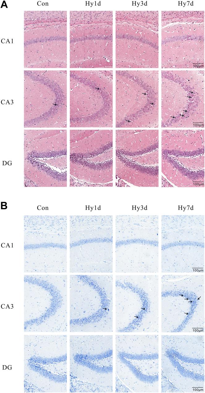 https://cdn.ncbi.nlm.nih.gov/pmc/blobs/9c8e/11333011/4b00d0e745f1/gr2.jpg