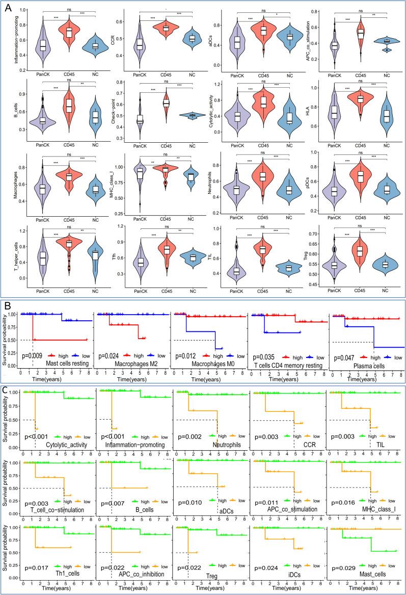 https://cdn.ncbi.nlm.nih.gov/pmc/blobs/9c8f/10463390/ddd99052fb9b/12967_2023_4395_Fig5_HTML.jpg