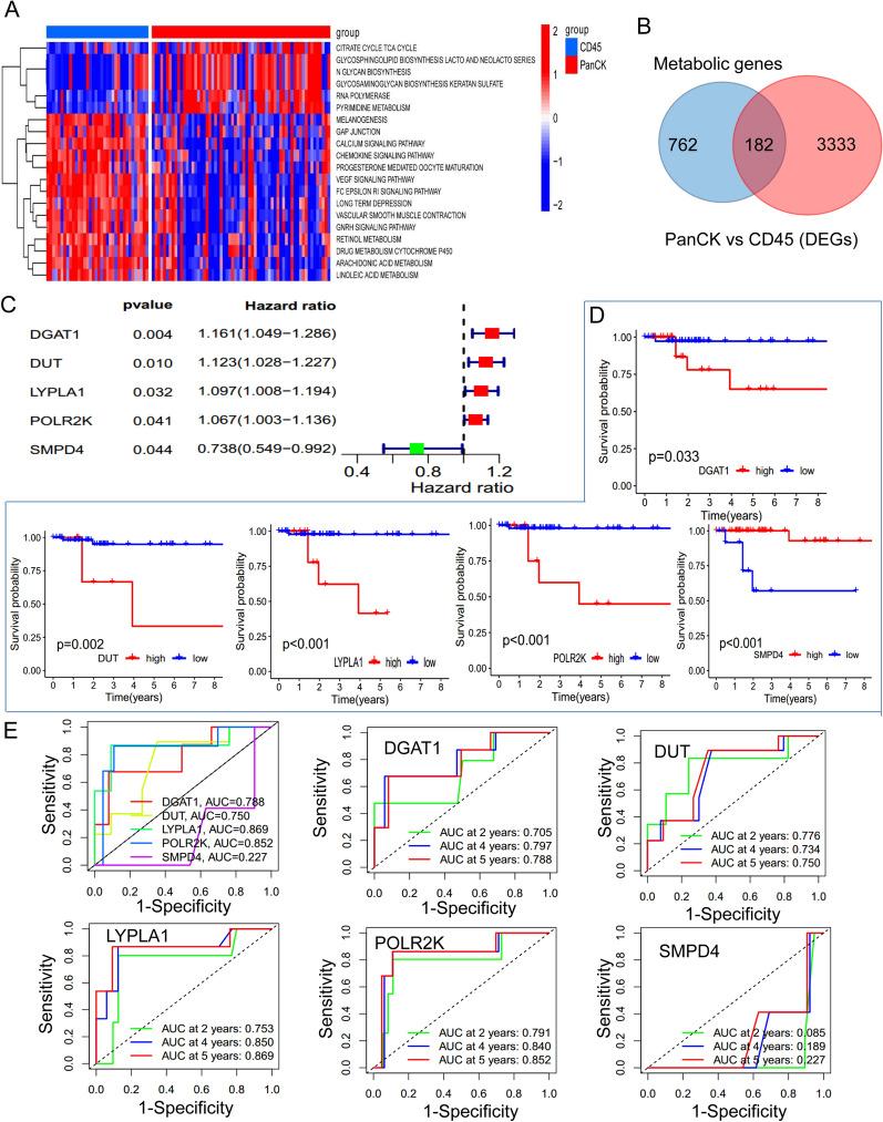 https://cdn.ncbi.nlm.nih.gov/pmc/blobs/9c8f/10463390/e4a9760bb6d6/12967_2023_4395_Fig7_HTML.jpg