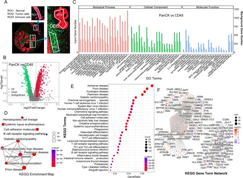 https://cdn.ncbi.nlm.nih.gov/pmc/blobs/9c8f/10463390/ff71831f2c6a/12967_2023_4395_Fig1_HTML.jpg