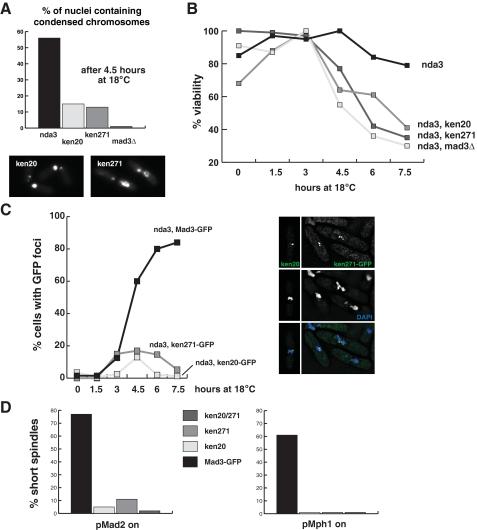 https://cdn.ncbi.nlm.nih.gov/pmc/blobs/9c8f/2516979/fe6436fbf593/zbc0360846850005.jpg