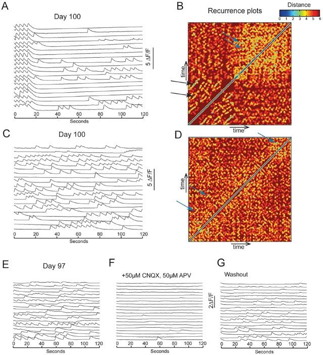 https://cdn.ncbi.nlm.nih.gov/pmc/blobs/9c91/4582178/ff1dac785770/develop-142-123851-g8.jpg