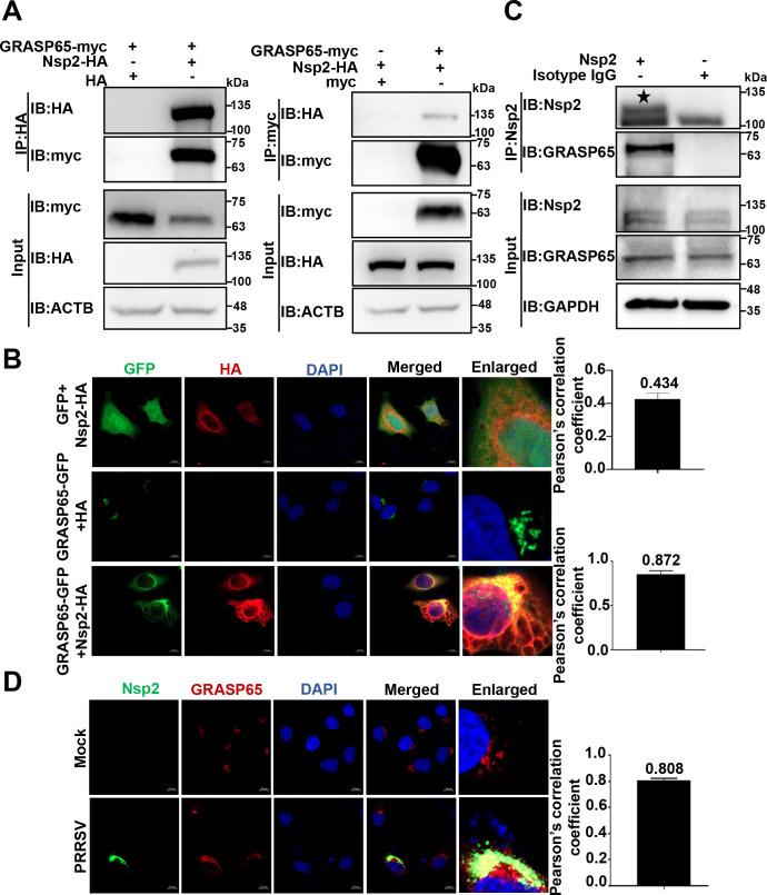 https://cdn.ncbi.nlm.nih.gov/pmc/blobs/9c92/10878038/d8fd52c3de6e/jvi.01842-23.f003.jpg