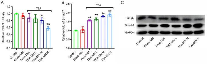 https://cdn.ncbi.nlm.nih.gov/pmc/blobs/9c94/10230632/32a3e8568fcf/gr10.jpg