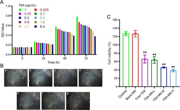 https://cdn.ncbi.nlm.nih.gov/pmc/blobs/9c94/10230632/41ef11ce0075/gr8.jpg
