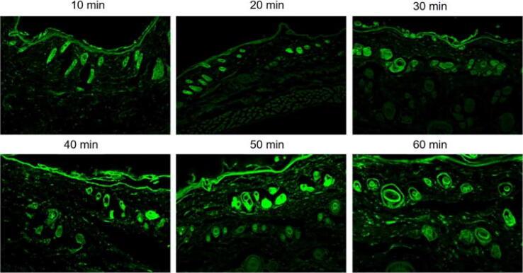 https://cdn.ncbi.nlm.nih.gov/pmc/blobs/9c94/10230632/8acefa34a18b/gr7.jpg