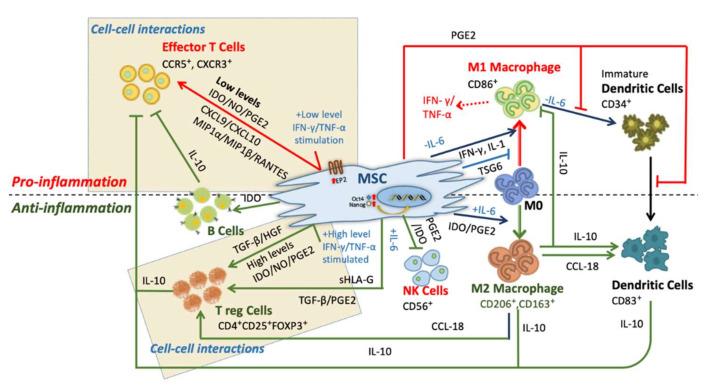 https://cdn.ncbi.nlm.nih.gov/pmc/blobs/9c94/7291143/294c275654fd/cells-09-01145-g001.jpg