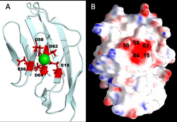 https://cdn.ncbi.nlm.nih.gov/pmc/blobs/9c95/2816670/7784118fddab/1757-5036-2-11-1.jpg