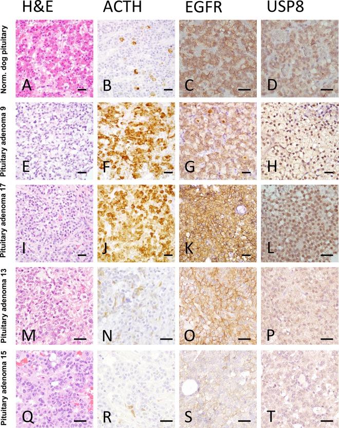 https://cdn.ncbi.nlm.nih.gov/pmc/blobs/9c95/5179081/b029930b10b5/pone.0169009.g003.jpg