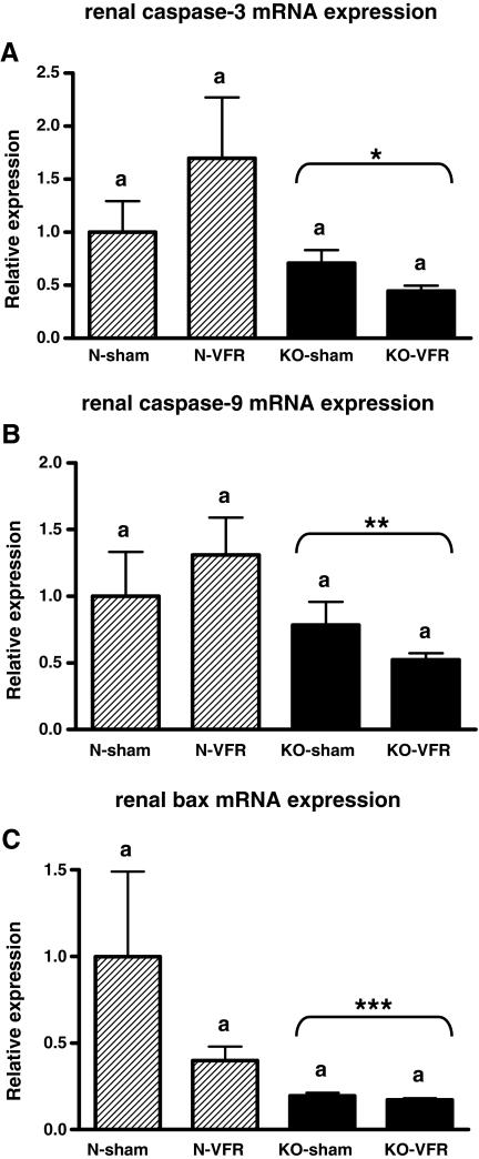 https://cdn.ncbi.nlm.nih.gov/pmc/blobs/9c98/3312636/aa5e6632d7dc/11357_2011_9232_Fig1_HTML.jpg