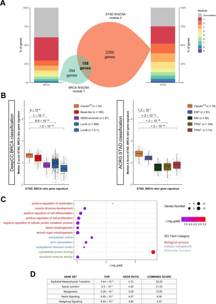 https://cdn.ncbi.nlm.nih.gov/pmc/blobs/9c98/9883497/4be91a8ecd46/41419_2023_5591_Fig5_HTML.jpg