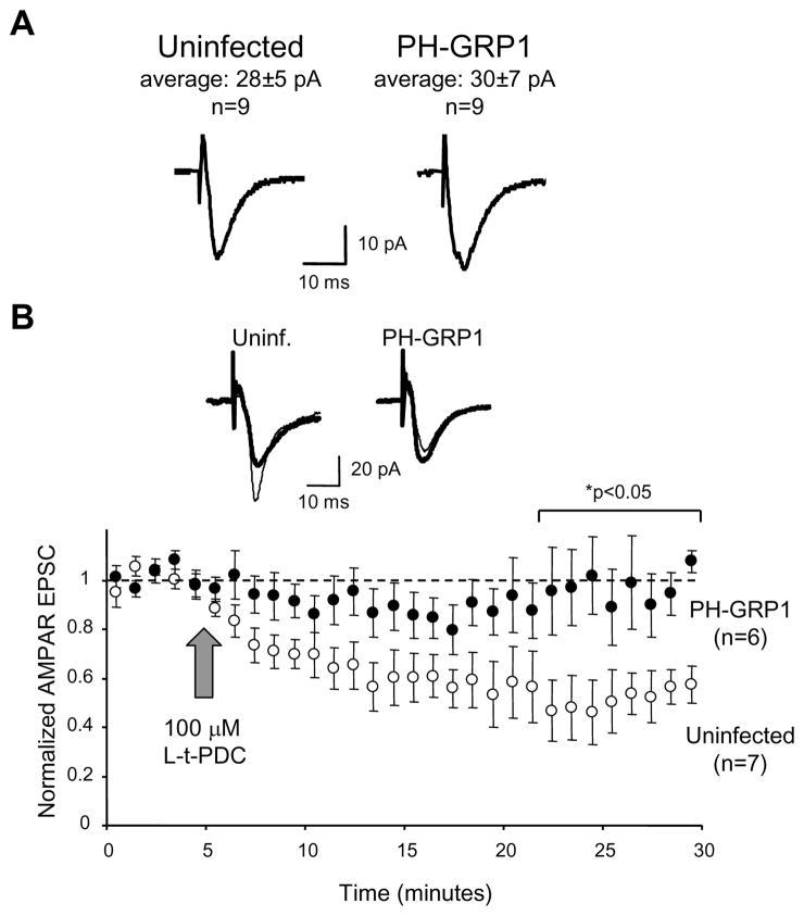 https://cdn.ncbi.nlm.nih.gov/pmc/blobs/9c99/2810846/755ff640ec44/nihms165650f8.jpg